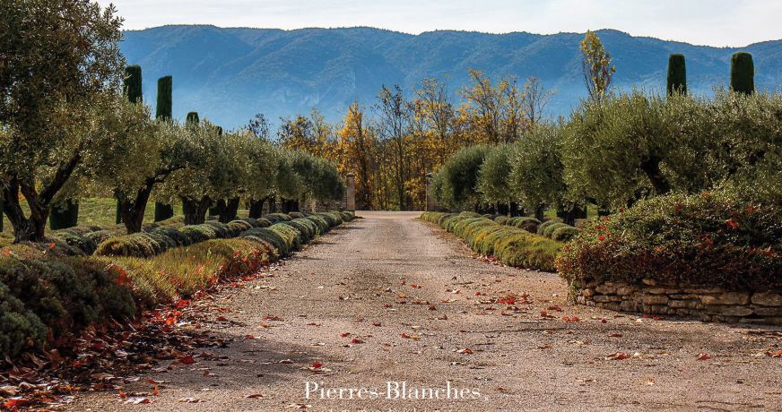 vente Maison Gordes