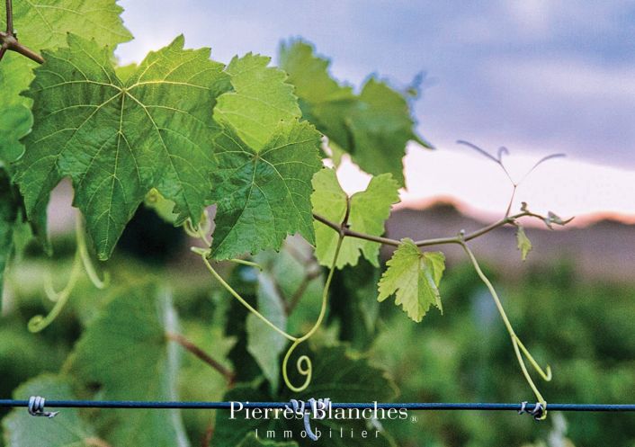 for sale Château Pezenas
