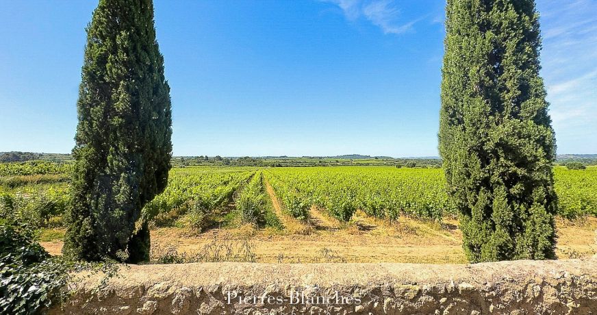 vente Propriété viticole Pezenas