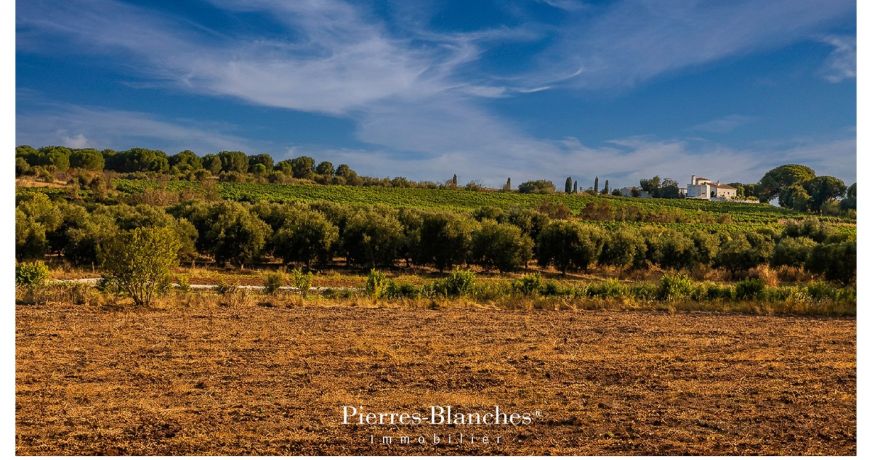 vente Propriété Agde