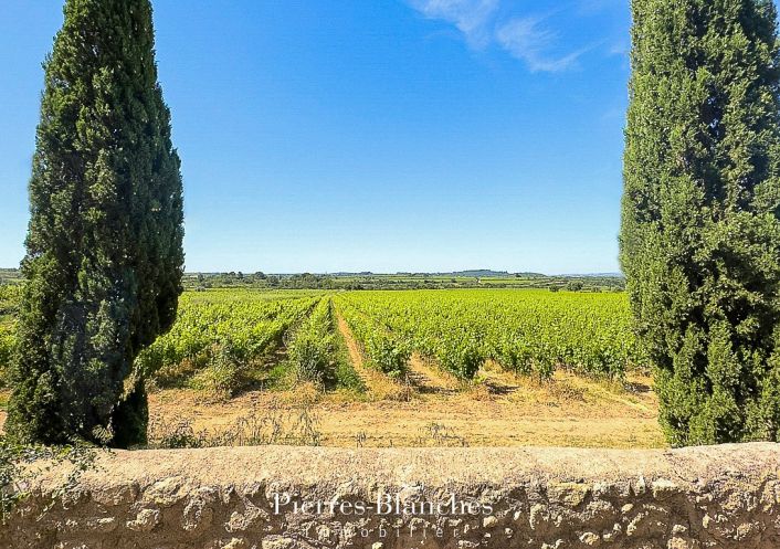 à vendre Propriété viticole Pezenas