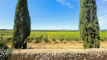 vente Propriété viticole Pezenas