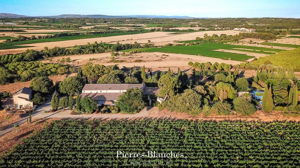 vente Domaine Pezenas - Photo 3