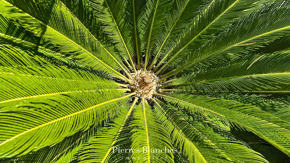 vente Maison contemporaine Montpellier - Photo 7