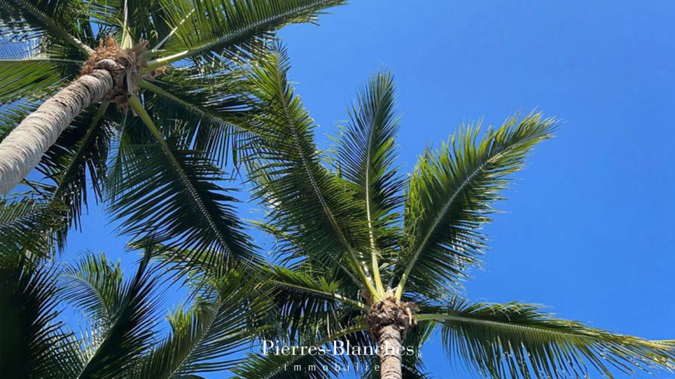 vente Villa Perols - Photo 10