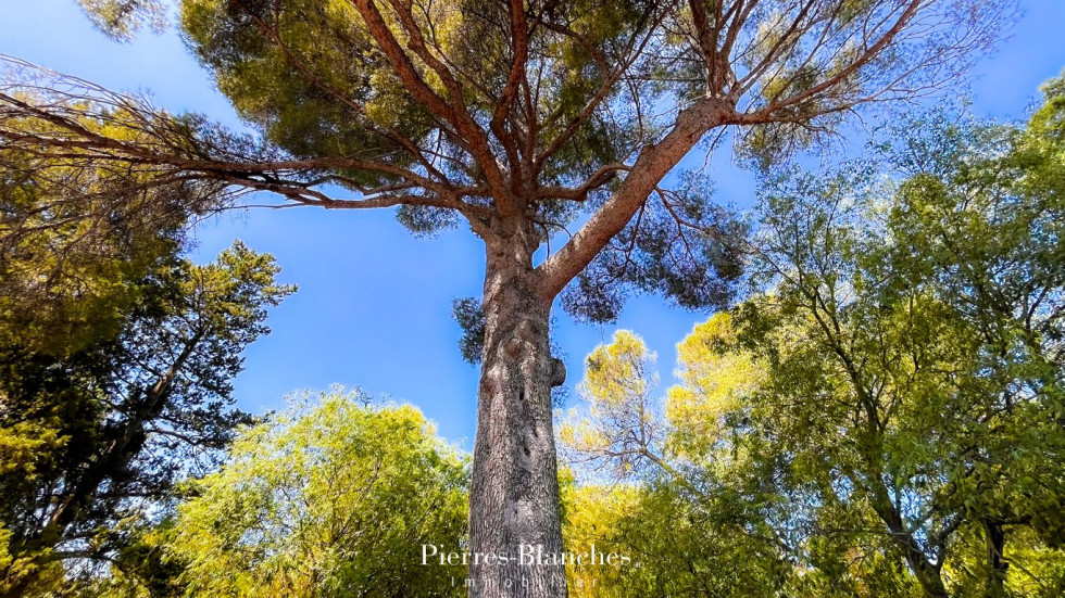 vente Maison contemporaine Nimes - Photo 7