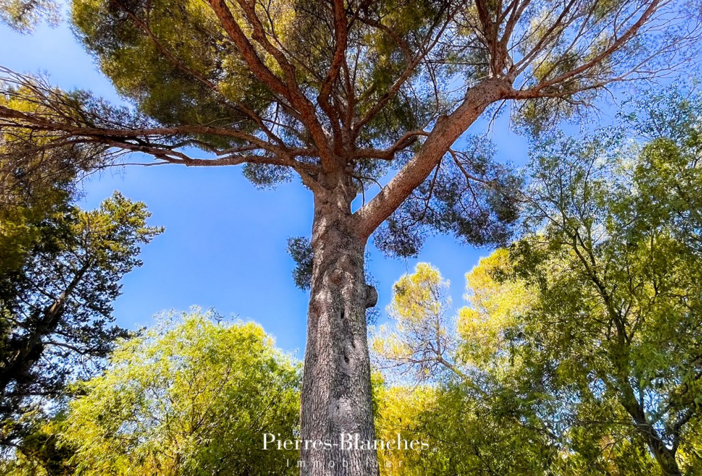 vente Maison contemporaine Nimes - Photo 7