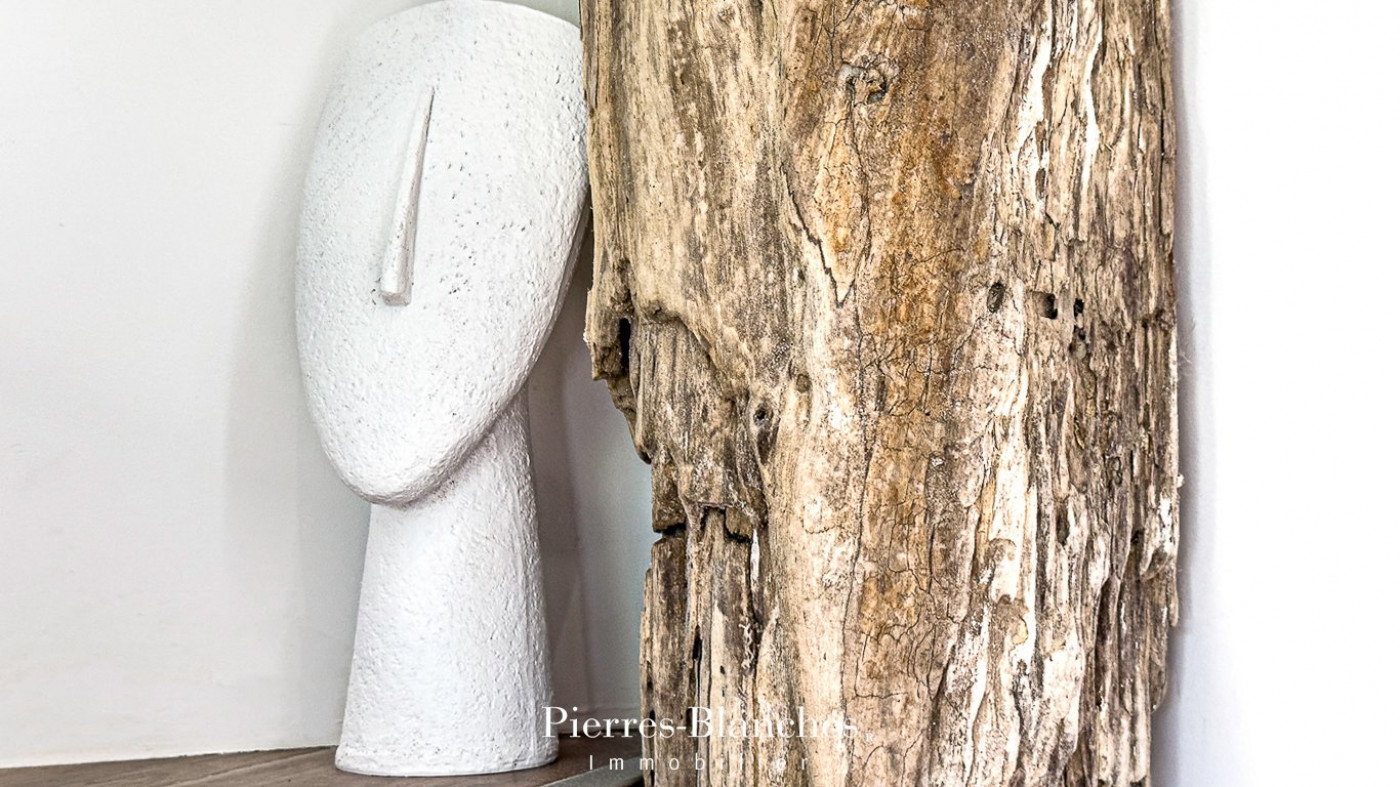 for sale Villa Montpellier - Photo 9