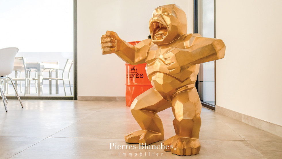 vente Villa d'architecte Grau D'agde - Photo 4