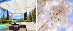 vente Villa Jacou