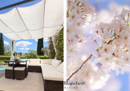 vente Villa Jacou