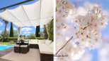 vente Villa Jacou