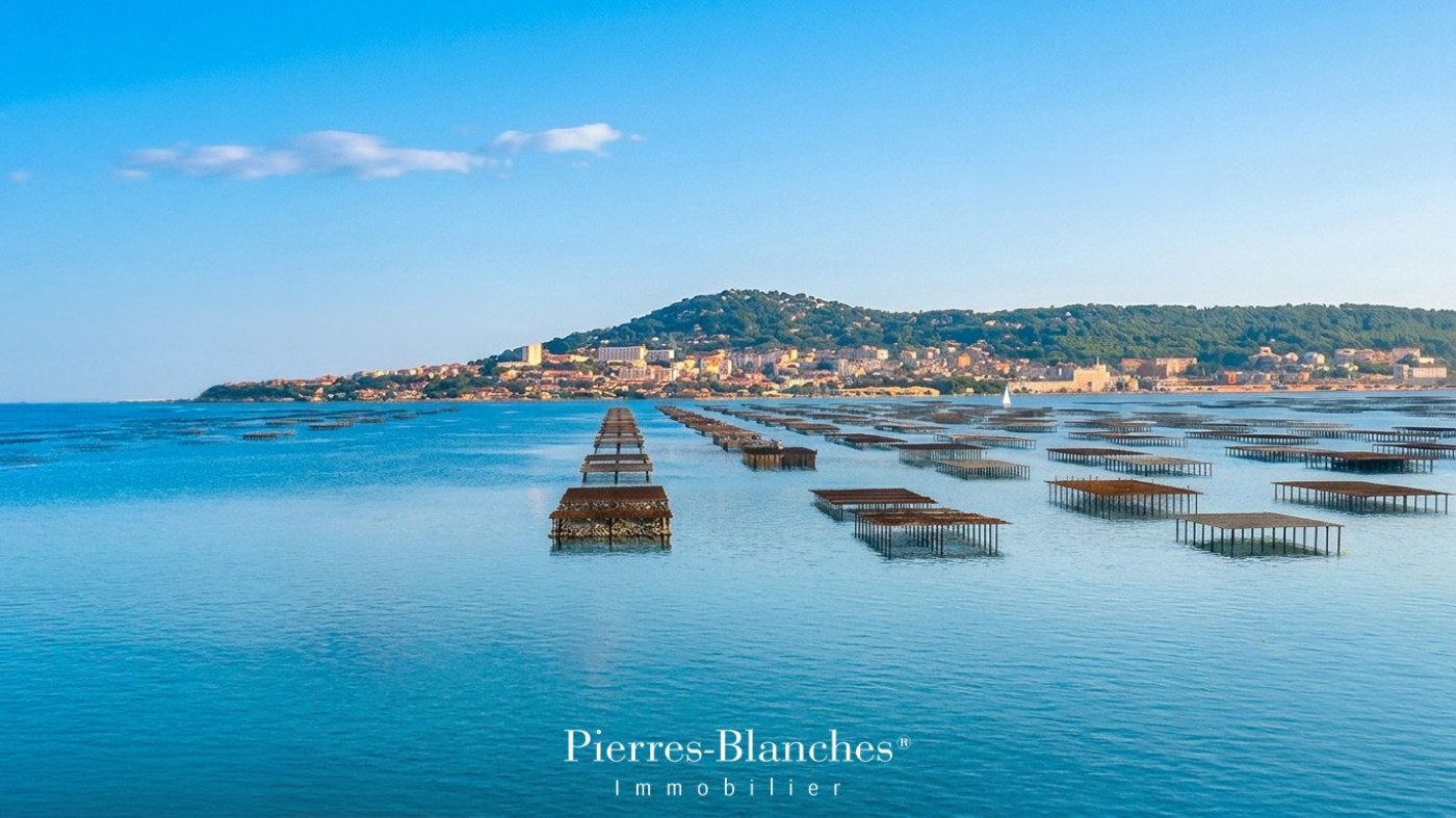 sale Amarre Bouzigues - Photo 2