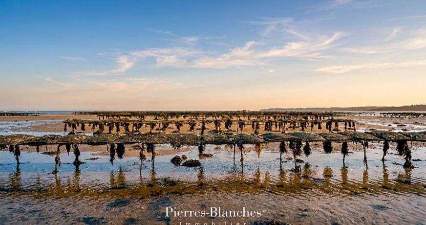 vente Amarre Bouzigues
