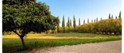 vente Maison Avignon