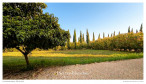 vente Maison Avignon