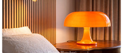 vente Appartement Castelnau Le Lez