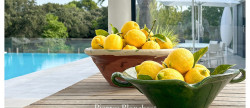 vente Villa d'architecte Nimes
