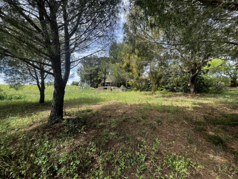 vente Maison Nizas - Photo 2