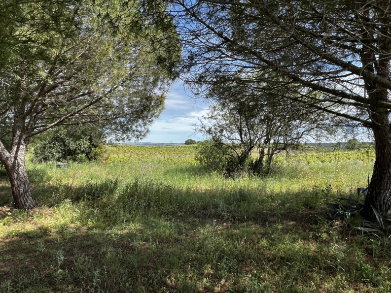 vente Maison Nizas - Photo 5