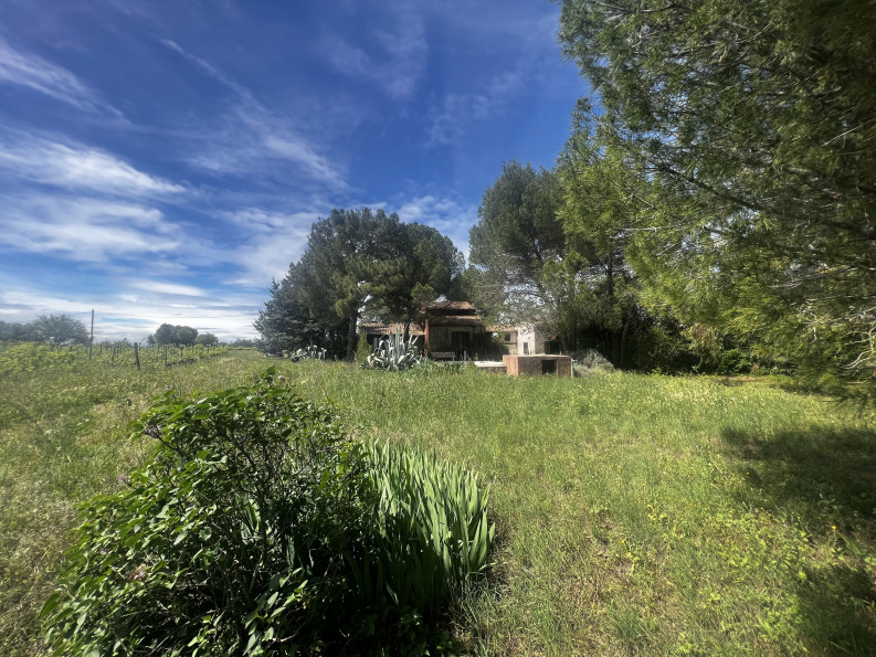 vente Maison Nizas - Photo 1