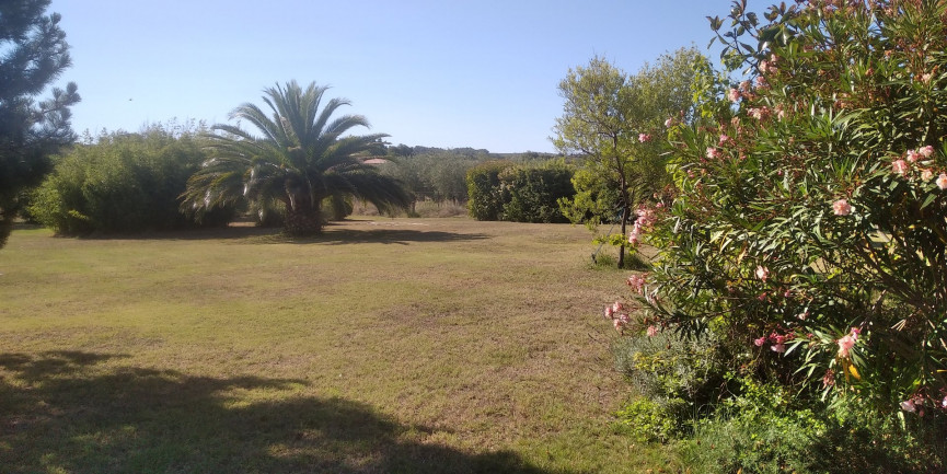 à vendre Maison Saint Pargoire - Photo 9