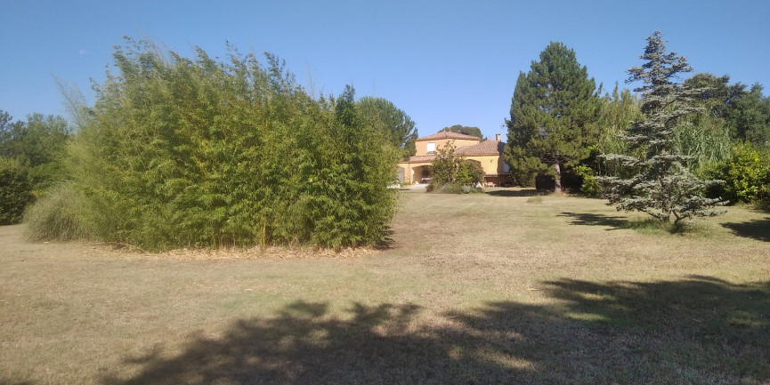 à vendre Maison Saint Pargoire - Photo 10