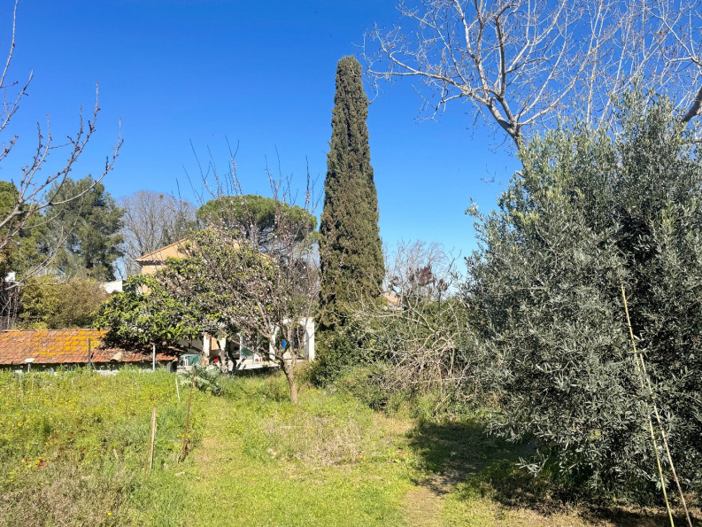 à vendre Maison Pezenas - Photo 10