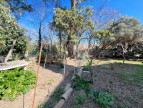 à vendre Maison Pezenas