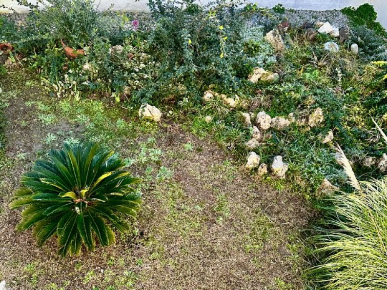 à vendre Maison Pezenas - Photo 3