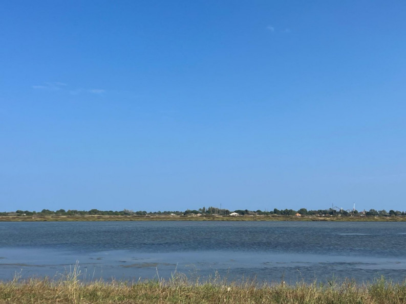 à vendre Maison Marseillan - Photo 3