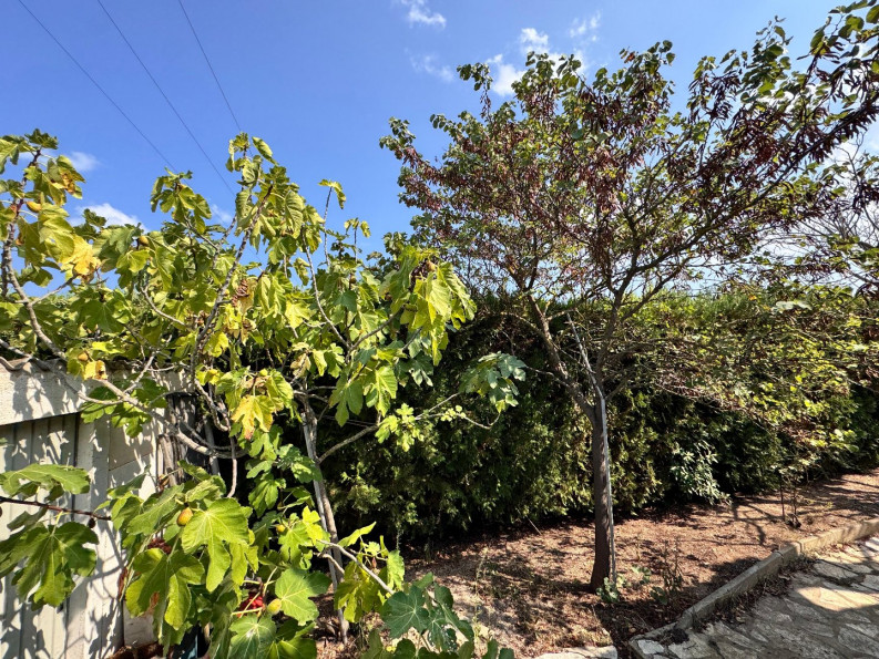 à vendre Maison Marseillan - Photo 8