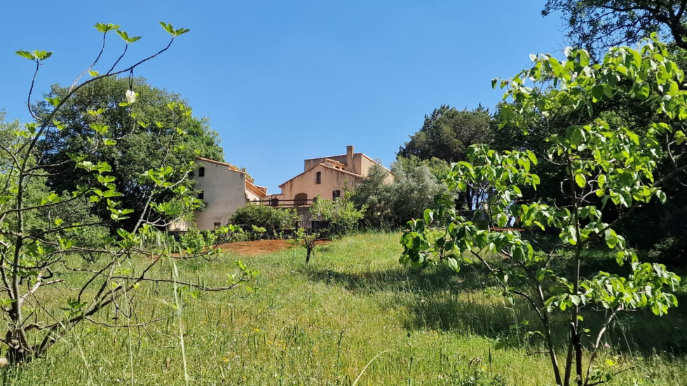 vente Maison Pezenas - Photo 4