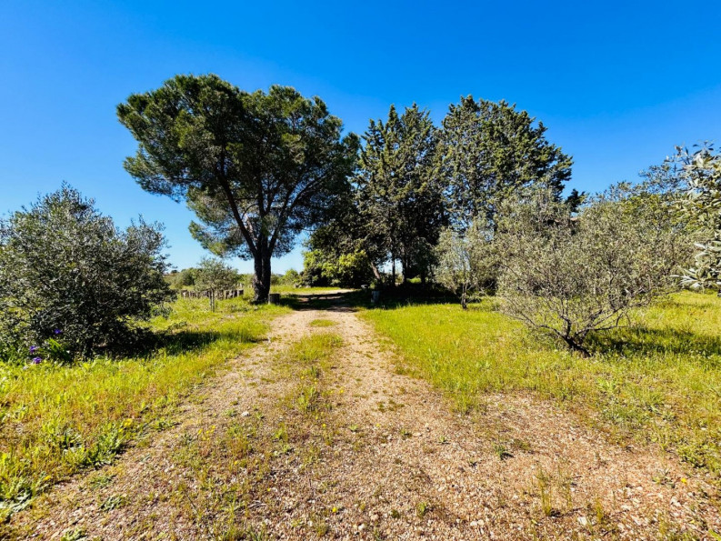 à vendre Maison Pezenas - Photo 3
