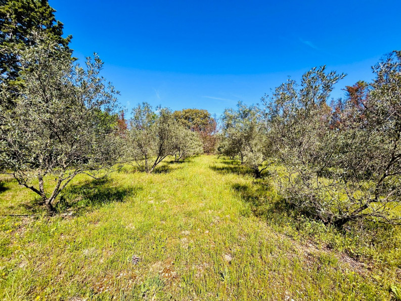 à vendre Maison Pezenas - Photo 5