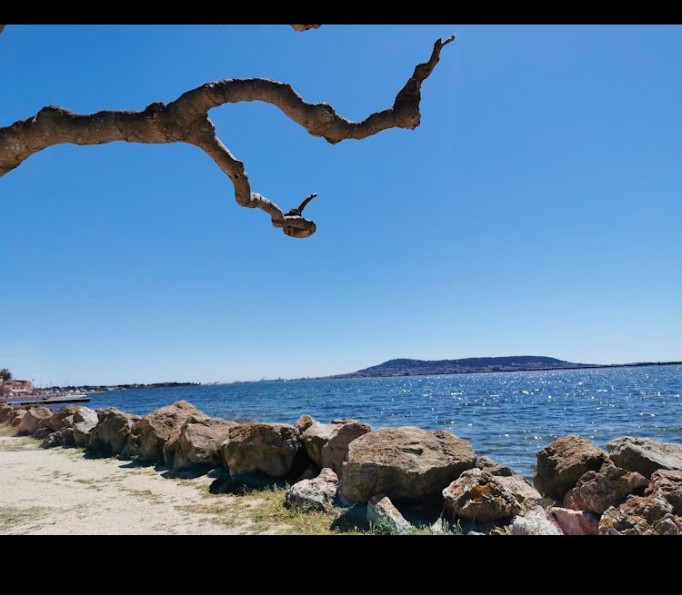 à vendre Restaurant Bouzigues - Photo 5