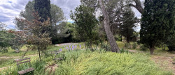 vente Maison Pezenas