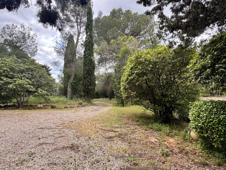 à vendre Maison Pezenas - Photo 7
