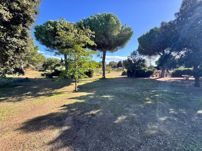 à vendre Maison Serignan - Photo 3