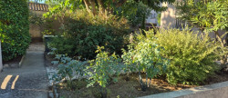 vente Maison Adissan