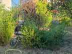 à vendre Maison Adissan