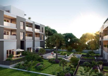 location Appartement Castelnau Le Lez