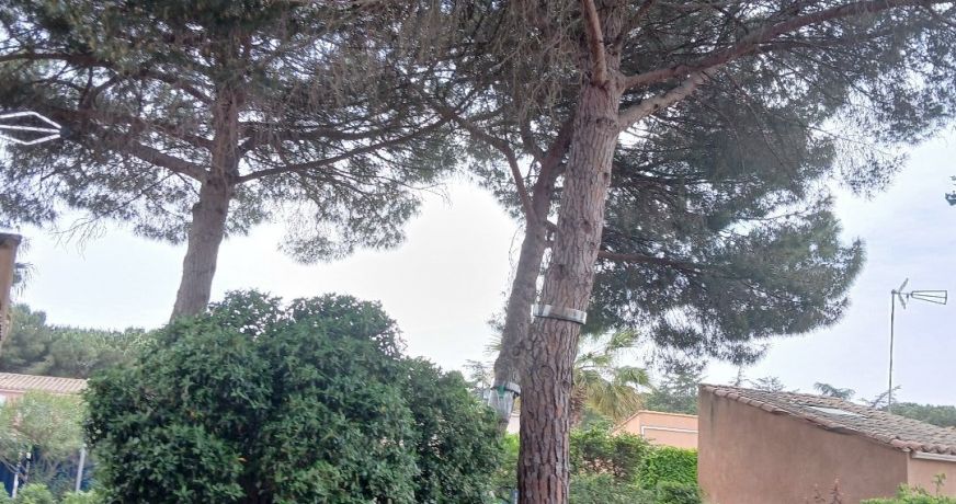 vente Appartement Cap D'agde