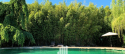 vente Maison de campagne Saint Remy De Provence