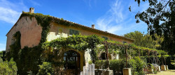 vente Maison de campagne Saint Remy De Provence