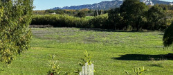 vente Maison de campagne Saint Remy De Provence