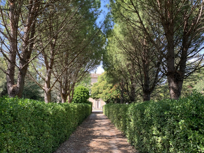 vente Maison de maître Avignon - Photo 2