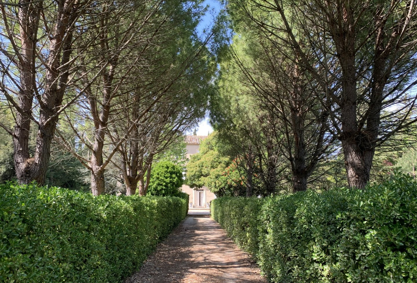 vente Maison de maître Avignon - Photo 2