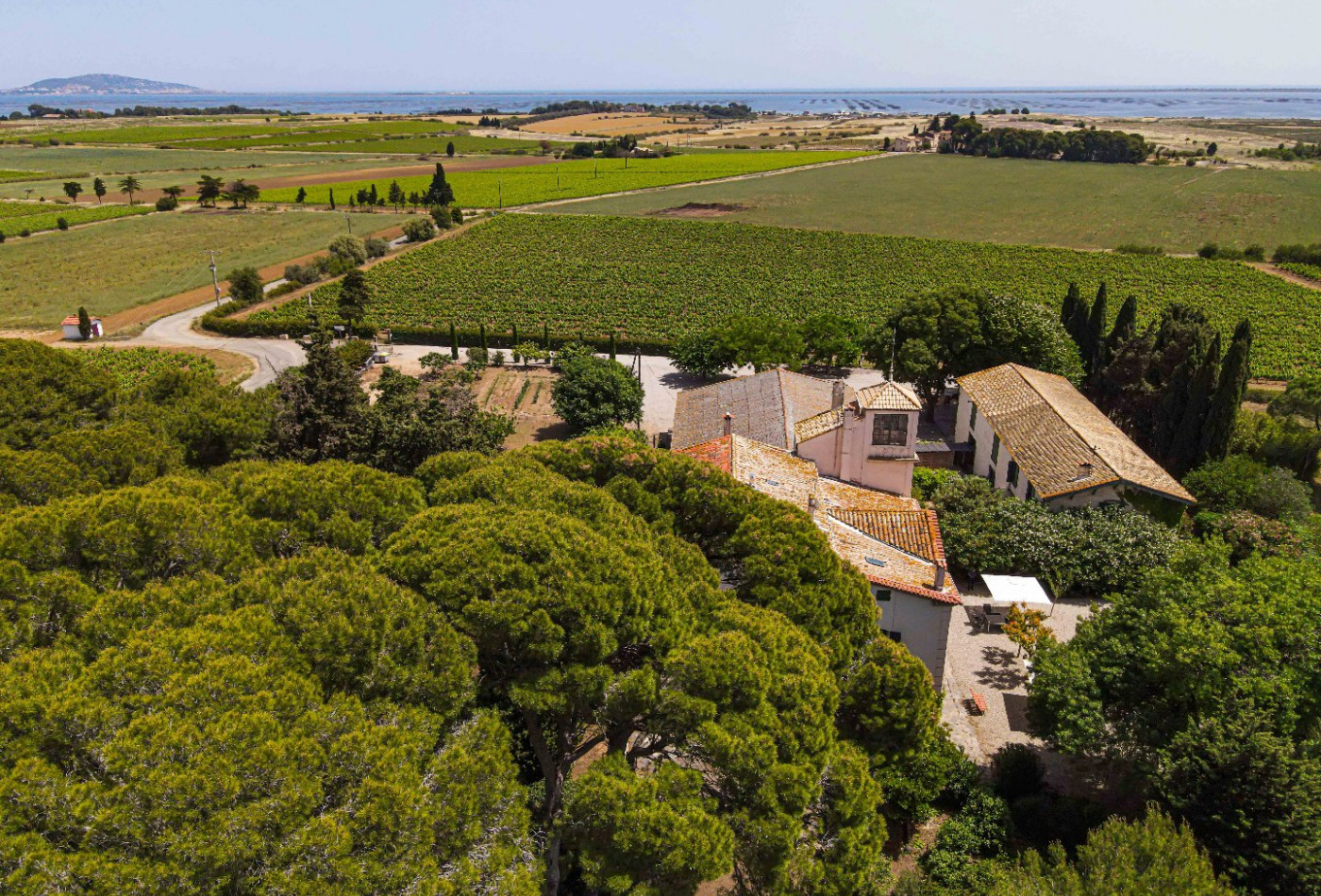 vente Maison Sete - Photo 3