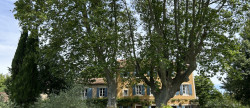 vente Maison de caractère Avignon